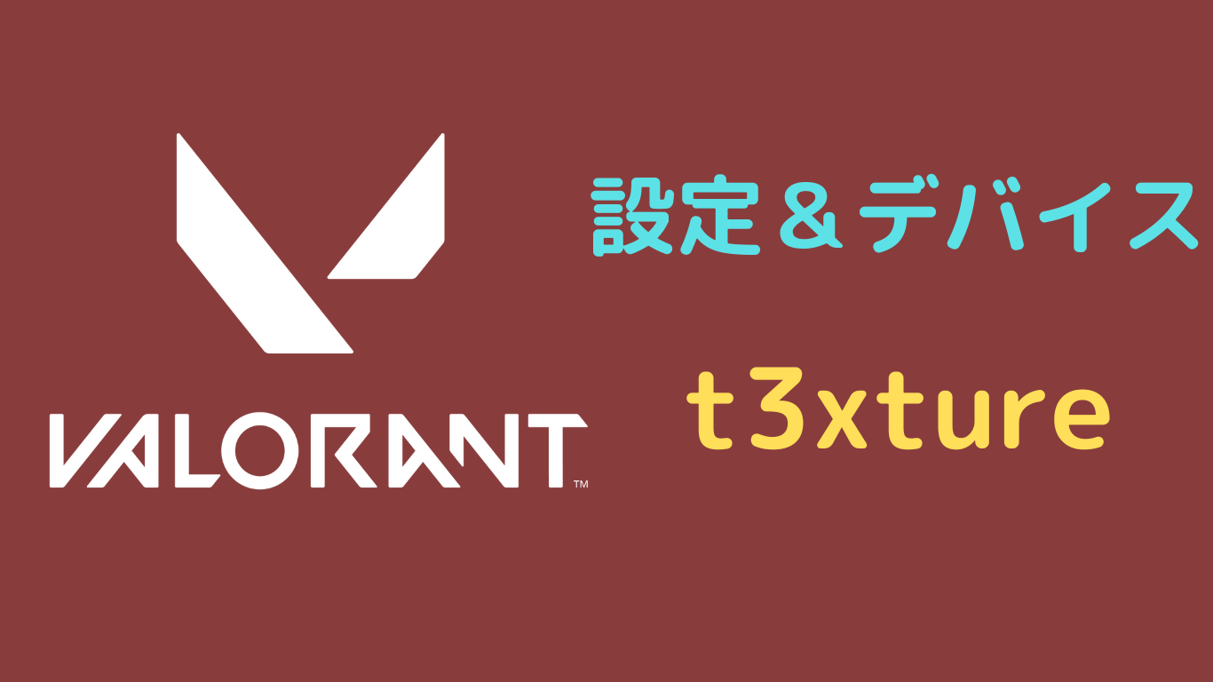 t3xture VALORANT 設定