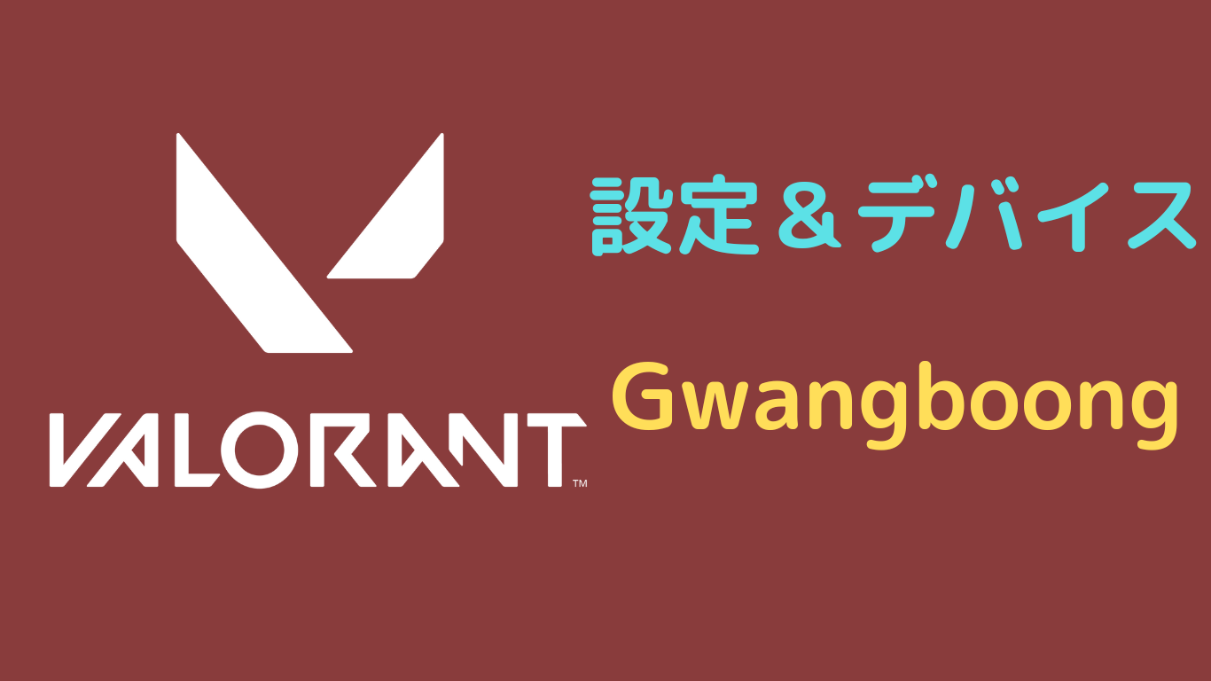 Gwangboong 設定 valorant