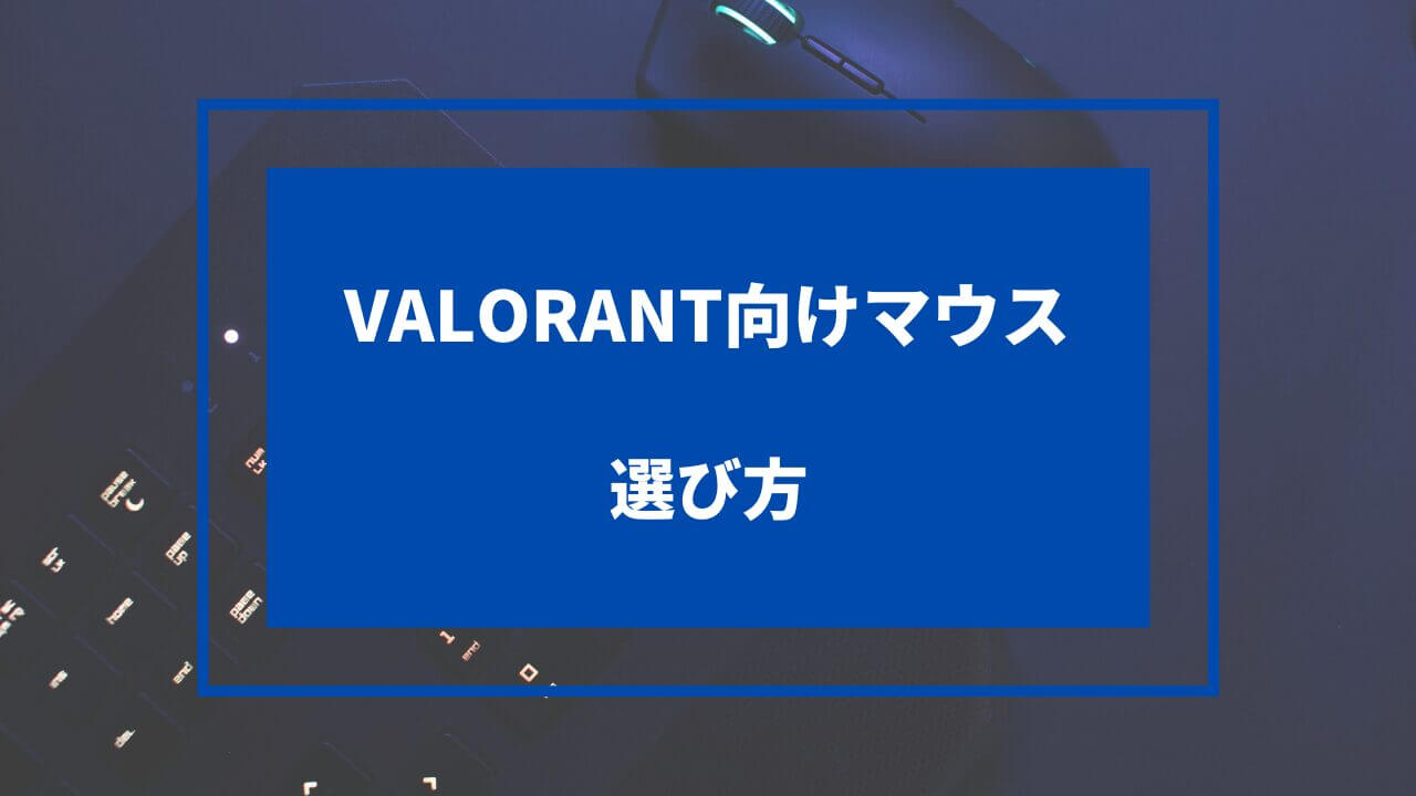 valorant マウス