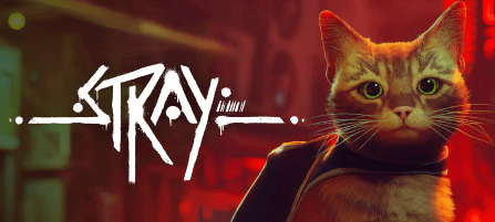 Stray